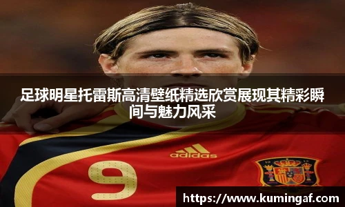 足球明星托雷斯高清壁纸精选欣赏展现其精彩瞬间与魅力风采